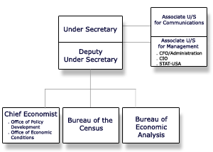 Organization Chart