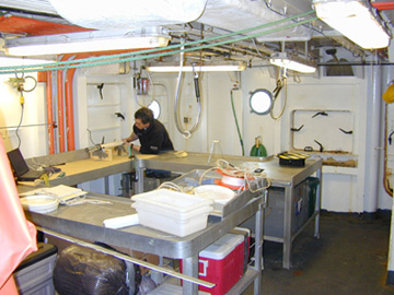 Fish Processing Lab