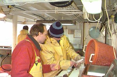 scientists doing species identification onboard a research vessel