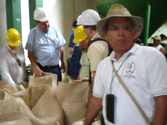 Photo of Members of the Ciudad   Barrios Coffee Cooperative inspect coffee sacks.