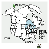 Distribution of Carex vulpinoidea Michx. var. pycnocephala F.J. Herm.. . 