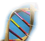 dna graphic