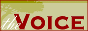 Voice graphic
