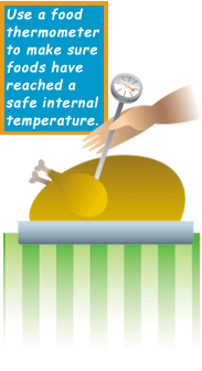 Image of a turkey and a food thermometer and the text:
Use a food thermometer to make sure foods have reached a safe internal temperature.