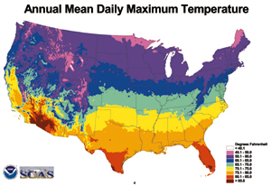 Annual Mean Daily Maximum Temperature (Sample)