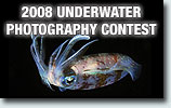 Underwater Photography Contest 2008