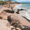 Photo of beach erosion on Maui courtesy of Matthew Thayer / Maui News.