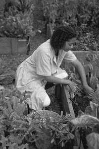 Photo of Black woman gardening.