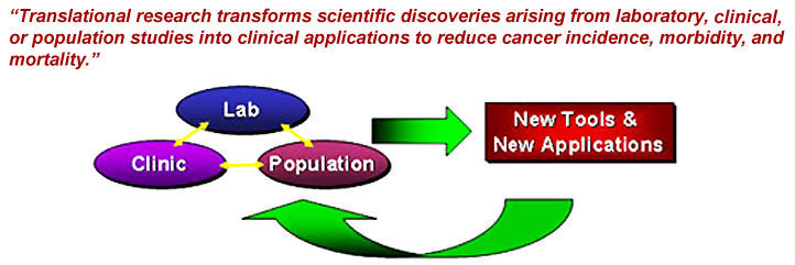 Translational Research Definition Diagram