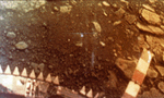 A rare look at the surface of Venus from Russia's Venera 13 lander in 1981.