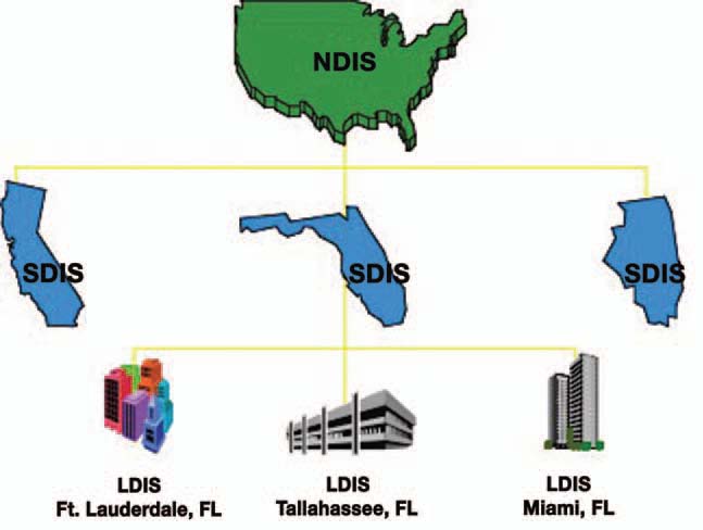 CODIS hierarchy using the state of Florida as an example 