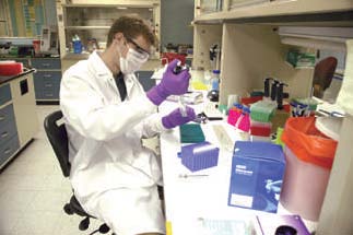 AVisiting Scientist evaluates methods for efficient DNA extraction from bones to assist in the identification of human remains. 