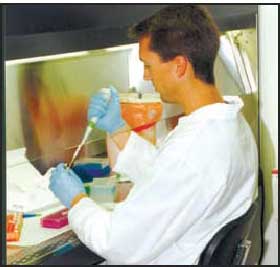 Photograph of a biologist conducts DN A Testing 
