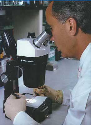Photograph of a laboratory scientist examines evidence using a microscope 
