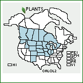 Distribution of Calamovilfa longifolia (Hook.) Scribn. var. longifolia. . 