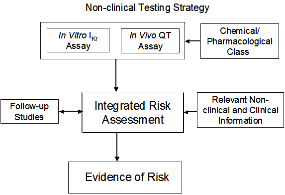 Non-clinical testing strategy flow chart