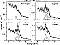 Cen X-3 - ASCA phase-dependent
spectra