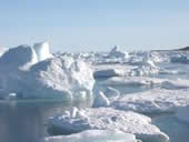 Arctic ice
