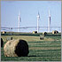 Thumbnail photo of a row of four wind turbines in the background with a field with rolls of hay in the foreground.