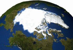 Figure 1: Animated image of observed changes in Arctic sea-ice extent from 1979 to 2005. The animation shows a dramatic decline in extent over the time period. Arctic perennial sea ice cover has been declining at 9.6 percent per decade since 1979. Image provided by NASA.
