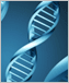 an illustration of DNA
