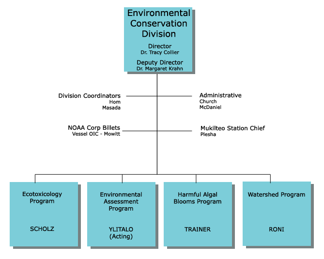 EC organization chart