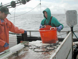 NWFSC biologists aboard the Captain Jack during the 2001 West Coast Slope Trawl Survey of Groundfish Resources.