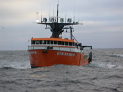 The groundfish trawler Excalibur, which has participated in the NWFSC Slope Survey and other research projects.