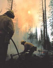Two firefighters building fireline at dusk.