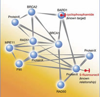 BioMimetic