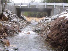 New bridge over Little Brown's Creek in California shows the dramatic improvements to fish passage possible with the help of the National Fish Passage program. Credit: Christine Jordan, Five Counties Salmonid Conservation Program