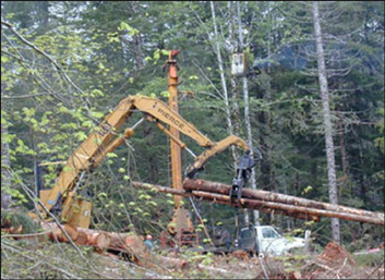 A logging operation on one of Oregon's state forests