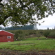Oregon farm land