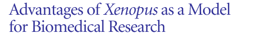 Advantages of Xenopus as a Model for Biomedical Research