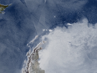 This image from QuikSCAT data shows large icebergs drifting long distances off Antarctica in the Southern Ocean.