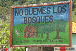 After learning about safer clearing techniques from a USAID-sponsored awareness campaign, students painted this sign, which says: “Don’t Burn the Forests — Or do you want to end life?” Through its programs, USAID has helped farmers realize that by choosing other clearing methods not only are they saving the forests — they are saving lives.