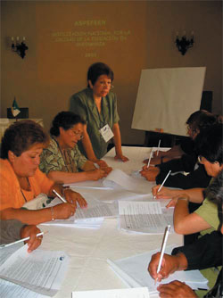Photo: Improving education standards at the Peruvian Association of Nursing Schools and Faculties workshop.
