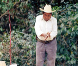 Image of: Senor C. Rogelio Vazquez studies his coffee, the sales of which support his four sons and 36 members of his extended family.
.