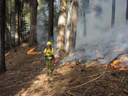 Fire backing slowly down-slope (Unit 5, Oct. 17, 2001).