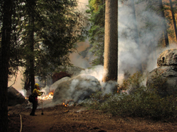 View from the south fire line, Oct. 17, 2001.