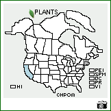 Distribution of Chlorogalum pomeridianum (DC.) Kunth var. minus Hoover. . Image Available. 