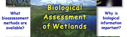 Biological Assessment of Wetlands