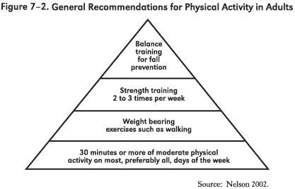 A pyramid chart showing general recommendations for physical activity in adults.