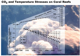 Graph: CO and Temperature Stresses on Coral Reefs, 1880-2100.