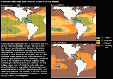 Calcium Carbonate Saturation in Ocean Surface Water, Preindustrial, Current (2000) and Projected (2050)