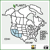 Distribution of Dichelostemma capitatum (Benth.) Alph. Wood ssp. pauciflorum (Torr.) G. Keator. . Image Available. 