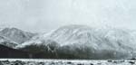 picture of alaskan shore line at cook inlet