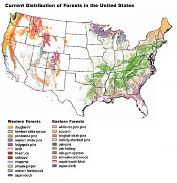 Map: Current Distribution of Forests in the United States