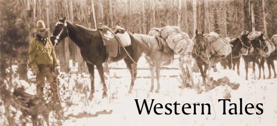 vintage photo showing horses and man