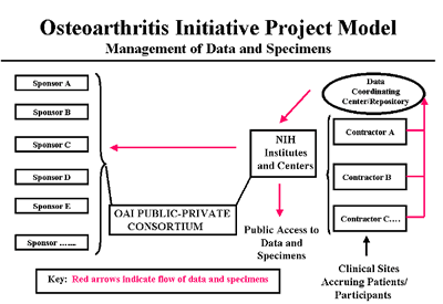 Flow chart showing the management of data and specimens
